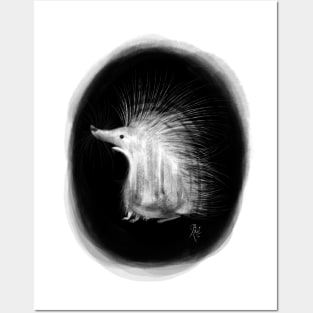 Amazed Hedgehog Posters and Art